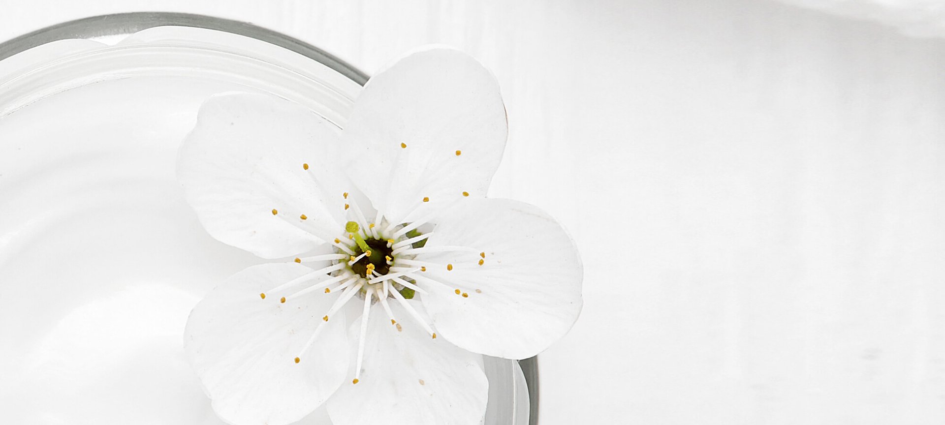 איך לבחור בקרם היום המתאים ביותר לחוויות שהעור שלך עובר במהלך החיים מאמר