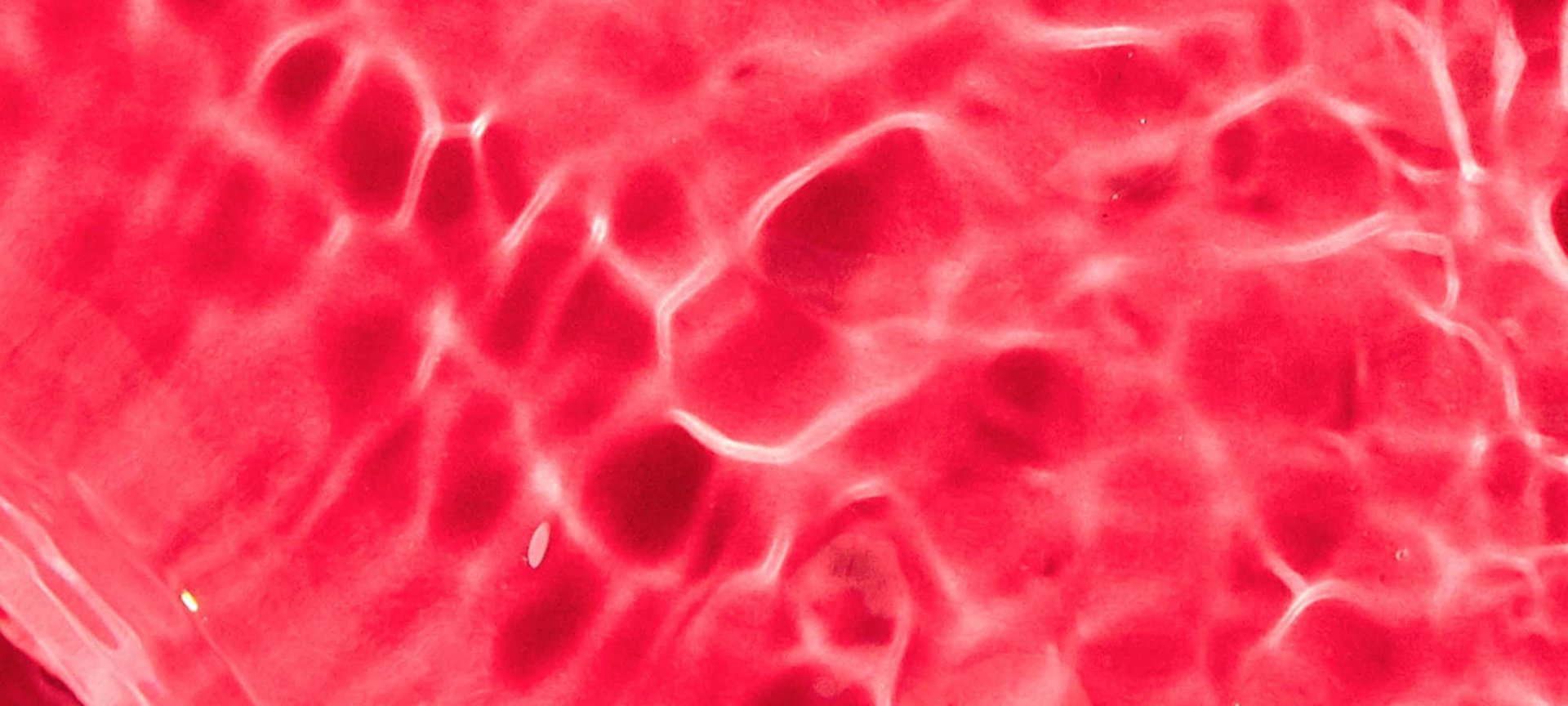 Glycolic Acid Hero Img