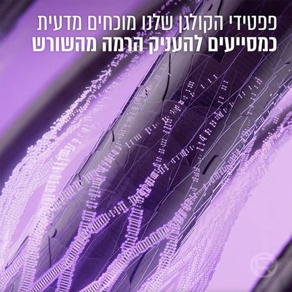 פפטידי הקולגן שלנו מוכחים מדעית כמסייעים להעניק הרמה מהשורש.