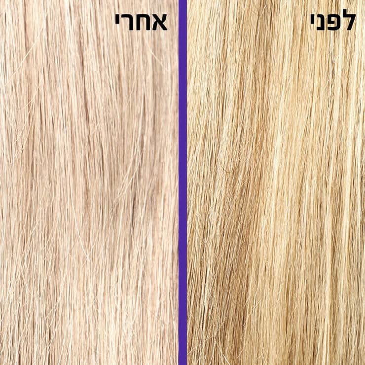 תצוגת שיער צבוע לבלונד לפני ואחרי שימוש בשמפו ומרכך סגול