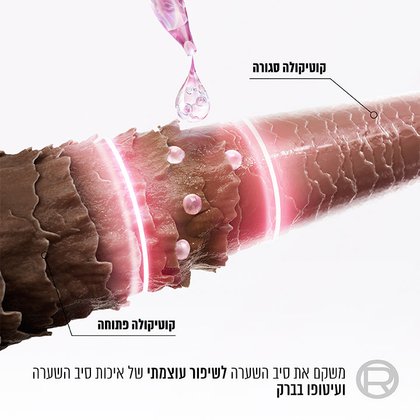 איור המציג קוטיקולה סגורה וקוטיקולה פתוחה. משקם את סיב השערה לשיפור עוצמתי של איכות סיב השערה ועיטופו בברק.